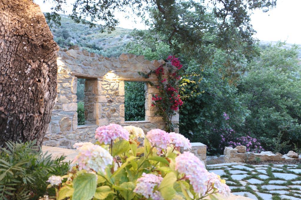 Appartamento Naiades Karystos (Evia)